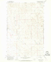 Mc Ginnis Butte Montana Historical topographic map, 1:24000 scale, 7.5 X 7.5 Minute, Year 1965