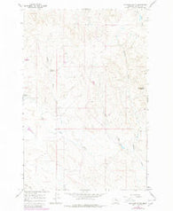 Mc Ginnis Butte Montana Historical topographic map, 1:24000 scale, 7.5 X 7.5 Minute, Year 1965