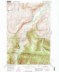 Mc Leod Basin Montana Historical topographic map, 1:24000 scale, 7.5 X 7.5 Minute, Year 1951