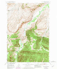 Mc Leod Basin Montana Historical topographic map, 1:24000 scale, 7.5 X 7.5 Minute, Year 1951