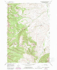 Medicine Lodge Peak Montana Historical topographic map, 1:24000 scale, 7.5 X 7.5 Minute, Year 1965