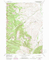 Medicine Lodge Peak Montana Historical topographic map, 1:24000 scale, 7.5 X 7.5 Minute, Year 1965