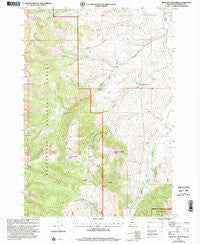 Medicine Lodge Peak Montana Historical topographic map, 1:24000 scale, 7.5 X 7.5 Minute, Year 1997
