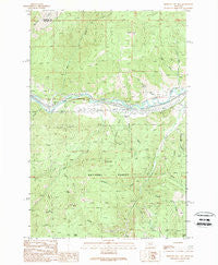 Medicine Tree Hill Montana Historical topographic map, 1:24000 scale, 7.5 X 7.5 Minute, Year 1989