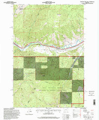 Medicine Tree Hill Montana Historical topographic map, 1:24000 scale, 7.5 X 7.5 Minute, Year 1996