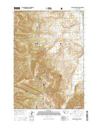 Medicine Lodge Peak Montana Current topographic map, 1:24000 scale, 7.5 X 7.5 Minute, Year 2014