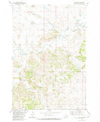 Mill Iron Montana Historical topographic map, 1:24000 scale, 7.5 X 7.5 Minute, Year 1980