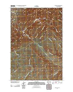 Mine Gulch Montana Historical topographic map, 1:24000 scale, 7.5 X 7.5 Minute, Year 2011