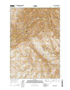 Mine Gulch Montana Current topographic map, 1:24000 scale, 7.5 X 7.5 Minute, Year 2014