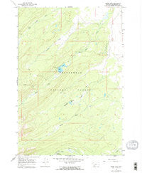 Miner Lake Montana Historical topographic map, 1:24000 scale, 7.5 X 7.5 Minute, Year 1966