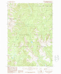 Mineral Mountain Montana Historical topographic map, 1:24000 scale, 7.5 X 7.5 Minute, Year 1987
