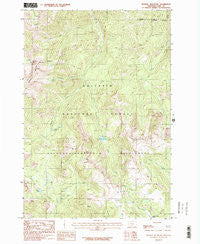 Mineral Mountain Montana Historical topographic map, 1:24000 scale, 7.5 X 7.5 Minute, Year 1987