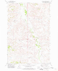 Mitchell Coulee Montana Historical topographic map, 1:24000 scale, 7.5 X 7.5 Minute, Year 1971