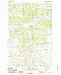 Mitchell Crossing Montana Historical topographic map, 1:24000 scale, 7.5 X 7.5 Minute, Year 1985