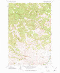 Mitchell Mountain Montana Historical topographic map, 1:24000 scale, 7.5 X 7.5 Minute, Year 1962