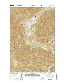 Mixes Baldy Montana Current topographic map, 1:24000 scale, 7.5 X 7.5 Minute, Year 2014