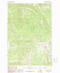Monitor Peak Montana Historical topographic map, 1:24000 scale, 7.5 X 7.5 Minute, Year 1987