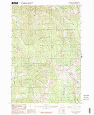 Monitor Peak Montana Historical topographic map, 1:24000 scale, 7.5 X 7.5 Minute, Year 1987