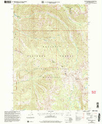 Monitor Peak Montana Historical topographic map, 1:24000 scale, 7.5 X 7.5 Minute, Year 2000