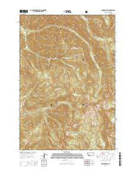 Monitor Peak Montana Current topographic map, 1:24000 scale, 7.5 X 7.5 Minute, Year 2014