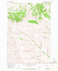 Monument Hill Montana Historical topographic map, 1:24000 scale, 7.5 X 7.5 Minute, Year 1965