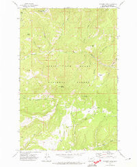 Monument Peak Montana Historical topographic map, 1:24000 scale, 7.5 X 7.5 Minute, Year 1971