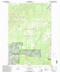 Moose Mountain Montana Historical topographic map, 1:24000 scale, 7.5 X 7.5 Minute, Year 1995