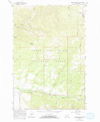 Moose Mountain Montana Historical topographic map, 1:24000 scale, 7.5 X 7.5 Minute, Year 1967