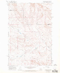 Morehouse Creek Montana Historical topographic map, 1:24000 scale, 7.5 X 7.5 Minute, Year 1965