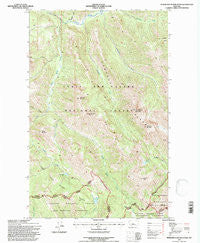 Morningstar Mountain Montana Historical topographic map, 1:24000 scale, 7.5 X 7.5 Minute, Year 1995