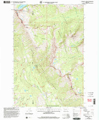 Morrell Lake Montana Historical topographic map, 1:24000 scale, 7.5 X 7.5 Minute, Year 1999