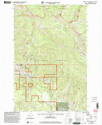 Morrell Mountain Montana Historical topographic map, 1:24000 scale, 7.5 X 7.5 Minute, Year 1999