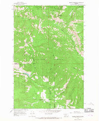 Morrell Mountain Montana Historical topographic map, 1:24000 scale, 7.5 X 7.5 Minute, Year 1965