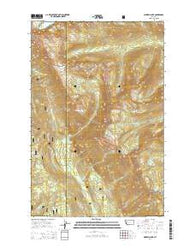Morrell Lake Montana Current topographic map, 1:24000 scale, 7.5 X 7.5 Minute, Year 2014