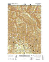 Morrell Mountain Montana Current topographic map, 1:24000 scale, 7.5 X 7.5 Minute, Year 2014