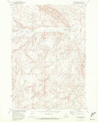 Mott Creek Montana Historical topographic map, 1:24000 scale, 7.5 X 7.5 Minute, Year 1969