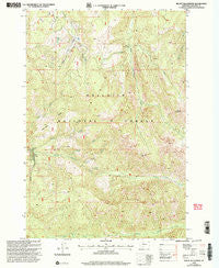 Mount Blackmore Montana Historical topographic map, 1:24000 scale, 7.5 X 7.5 Minute, Year 2000
