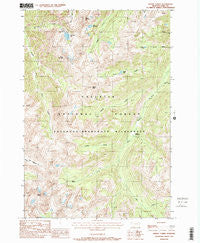Mount Cowen Montana Historical topographic map, 1:24000 scale, 7.5 X 7.5 Minute, Year 1987