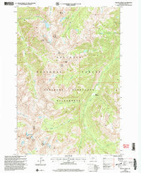 Mount Cowen Montana Historical topographic map, 1:24000 scale, 7.5 X 7.5 Minute, Year 2000