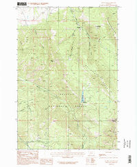 Mount Ellis Montana Historical topographic map, 1:24000 scale, 7.5 X 7.5 Minute, Year 1987