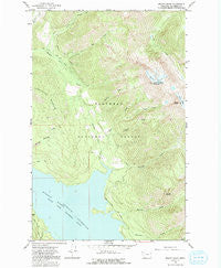 Mount Grant Montana Historical topographic map, 1:24000 scale, 7.5 X 7.5 Minute, Year 1964
