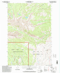 Mount Haggin Montana Historical topographic map, 1:24000 scale, 7.5 X 7.5 Minute, Year 1996