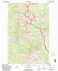 Mount Harding Montana Historical topographic map, 1:24000 scale, 7.5 X 7.5 Minute, Year 1994