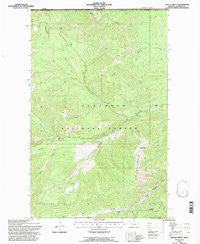 Mount Hefty Montana Historical topographic map, 1:24000 scale, 7.5 X 7.5 Minute, Year 1994