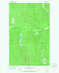Mount Henry Montana Historical topographic map, 1:24000 scale, 7.5 X 7.5 Minute, Year 1963