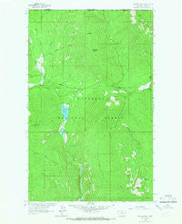 Mount Henry Montana Historical topographic map, 1:24000 scale, 7.5 X 7.5 Minute, Year 1963