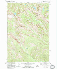 Mount Jerusalem Montana Historical topographic map, 1:24000 scale, 7.5 X 7.5 Minute, Year 1991