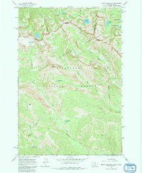 Mount Jerusalem Montana Historical topographic map, 1:24000 scale, 7.5 X 7.5 Minute, Year 1964