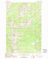 Mount Tahepia Montana Historical topographic map, 1:24000 scale, 7.5 X 7.5 Minute, Year 1988