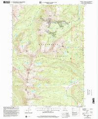 Mount Tahepia Montana Historical topographic map, 1:24000 scale, 7.5 X 7.5 Minute, Year 1997